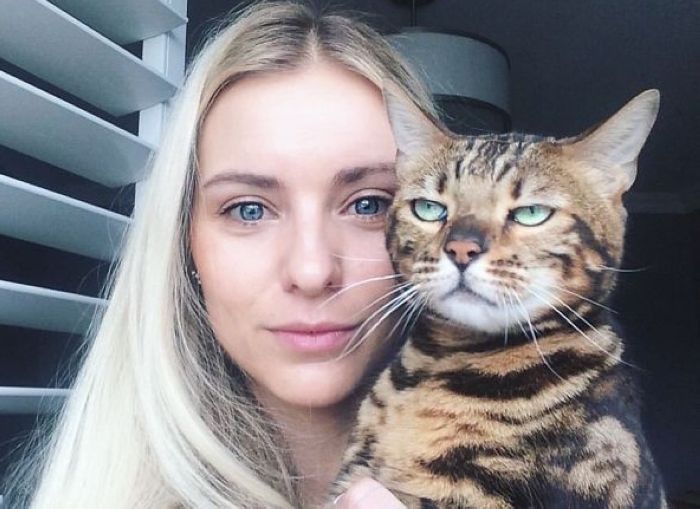 50 sắc thái của lũ mèo khi chụp ảnh Selfies