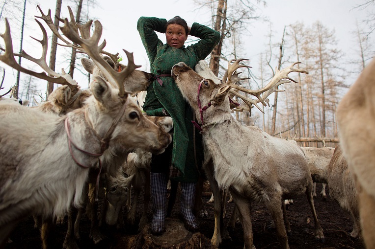 Dukha -  bộ lạc chăn tuần lộc cuối cùng ở Mông Cổ