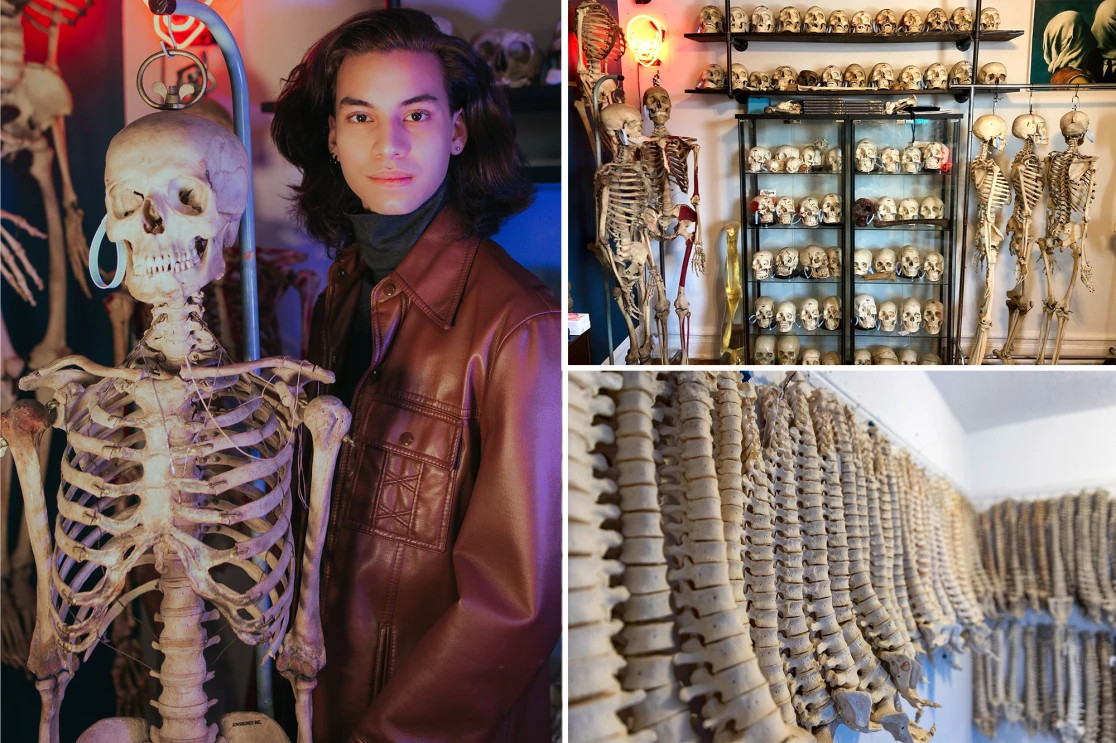 Tik Toker trẻ tuổi thích sưu tập hơn 200 bộ xương, đầu lâu trong nhà 