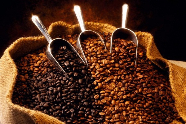 Giá cà phê giảm xuống dưới 37 triệu đồng/tấn