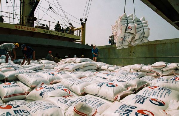 Doanh nghiệp gạo: Một tờ giấy phép xuất khẩu “giá” 20.000 USD