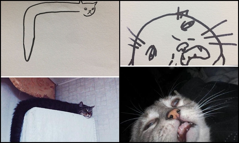 15 bức vẽ mèo tưởng không giống mà giống tới không tưởng