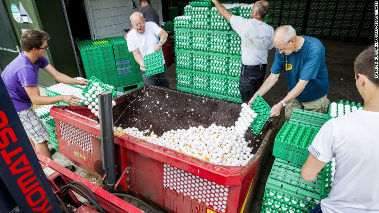Châu Âu lo ngại nạn trứng gà nhiễm thuốc diệt côn trùng