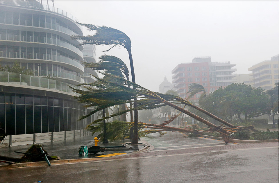 Florida oằn mình trong cơn cuồng nộ của siêu bão Irma