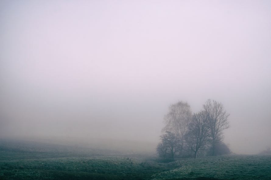 Sương mù nhẹ rải rác khắp Bắc Bộ và Bắc Trung Bộ
