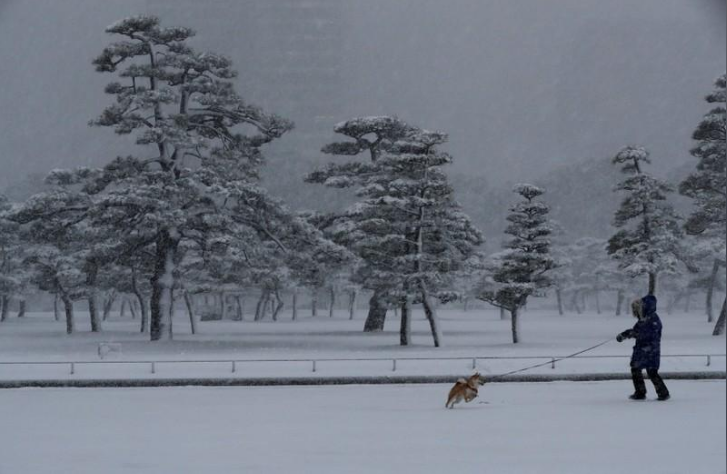 Giao thông Tokyo tê liệt vì trận bão tuyết lớn nhất 4 năm qua