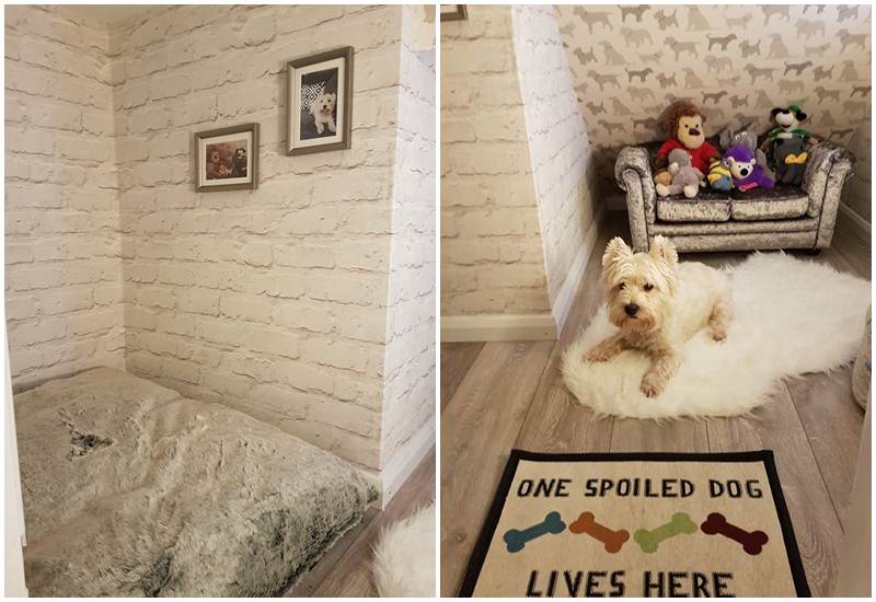 Phòng riêng xinh xắn nằm gọn dưới gầm cầu thang cho cún cưng