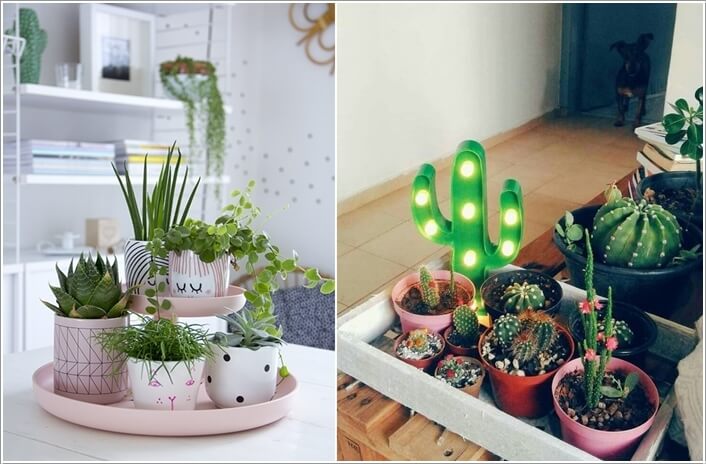 13 ý tưởng cho những khu vườn mini xinh đẹp trong nhà