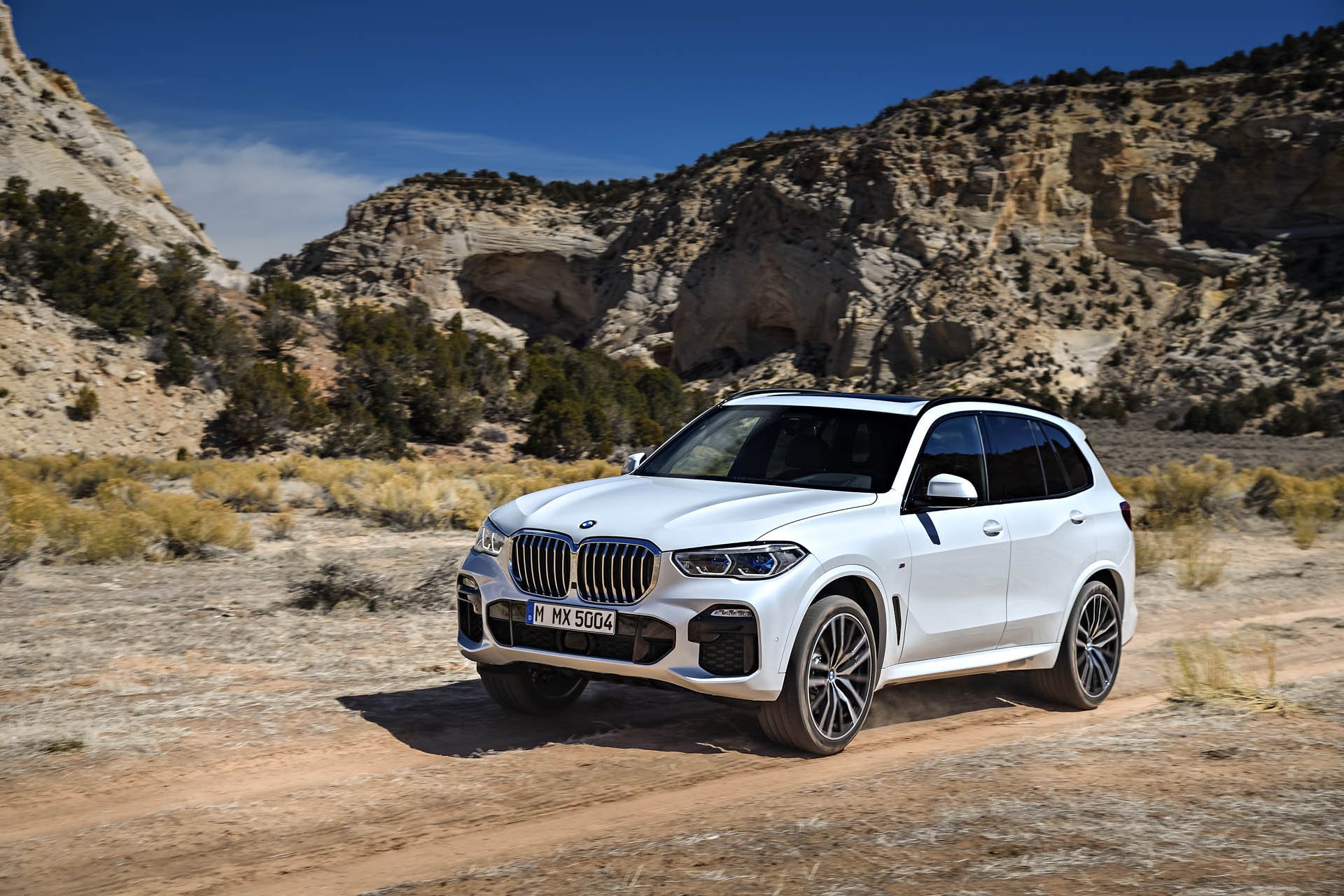 SUV hạng sang BMW X5 2019 chốt giá gần 62.000 USD