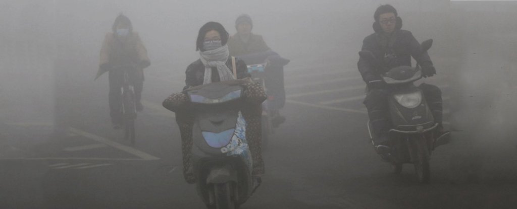 Ô nhiễm không khí khiến con người ngốc nghếch hơn