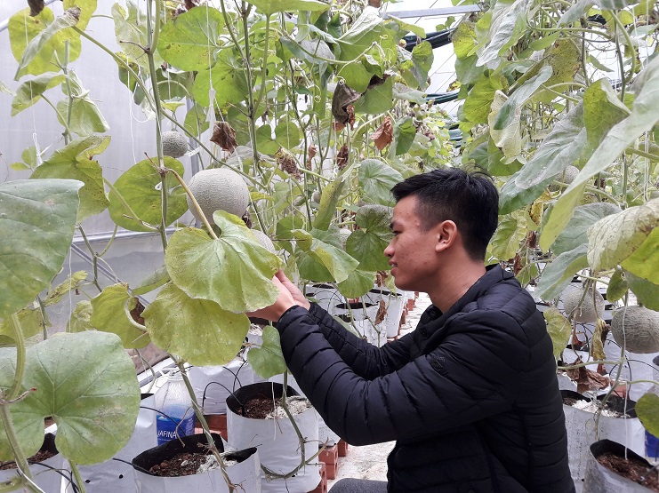 Sinh viên khởi nghiệp làm vườn từ xa bằng smartphone