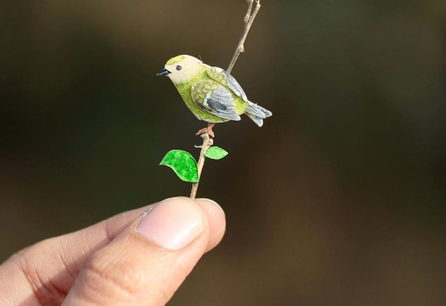 Những chú chim giấy “bé hạt tiêu”
