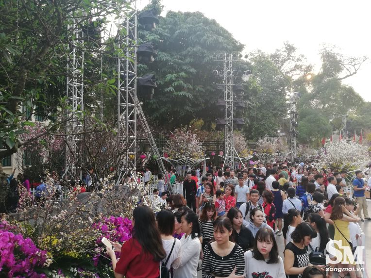 Người dân chen chân chụp ảnh tại lễ hội hoa anh đào 2019
