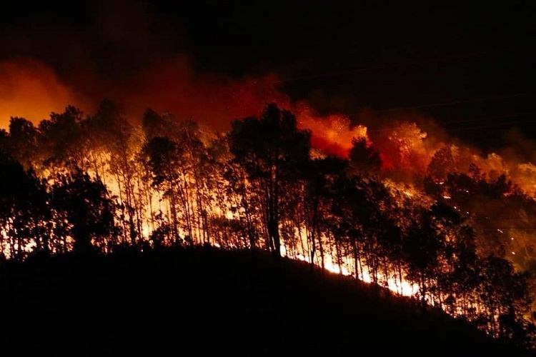 Rừng Hà Tĩnh tiếp tục cháy lớn trong đêm