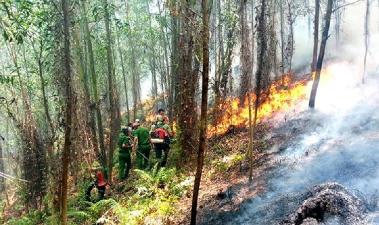 Bắc Bộ, Trung Bộ đối mặt với hỏa hoạn, cháy rừng do nắng nóng