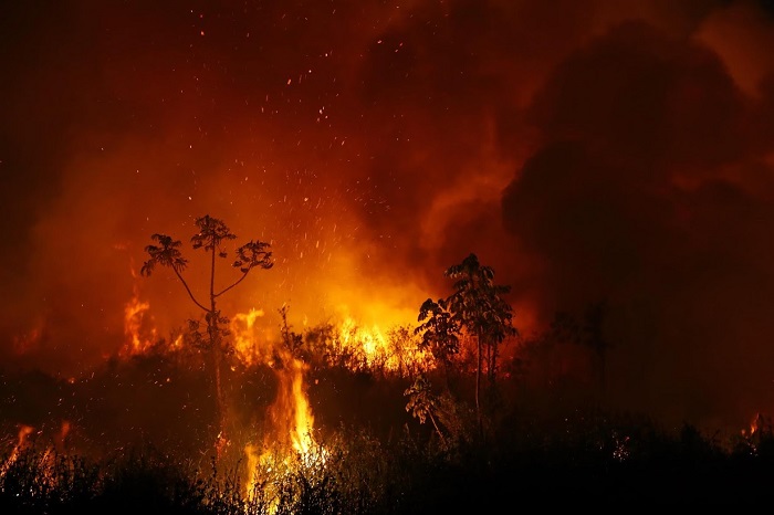 Cháy rừng đã lan tới nhiều miền đất ẩm ướt trên khắp thế giới