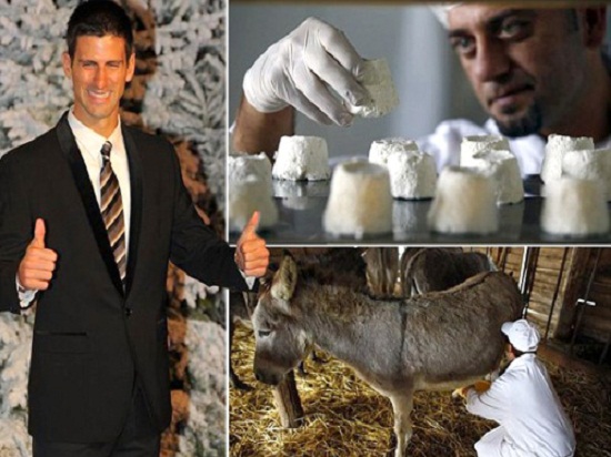 Djokovic- tay vợt nổi tiếng- rảnh rỗi kinh doanh “sữa lừa”
