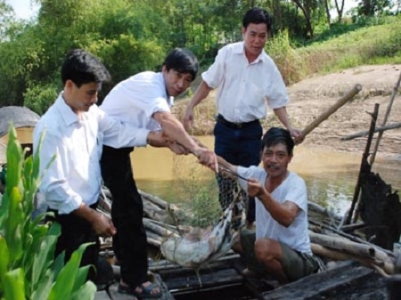 Cá bỗng thọ tới 100 năm ở Hà Giang